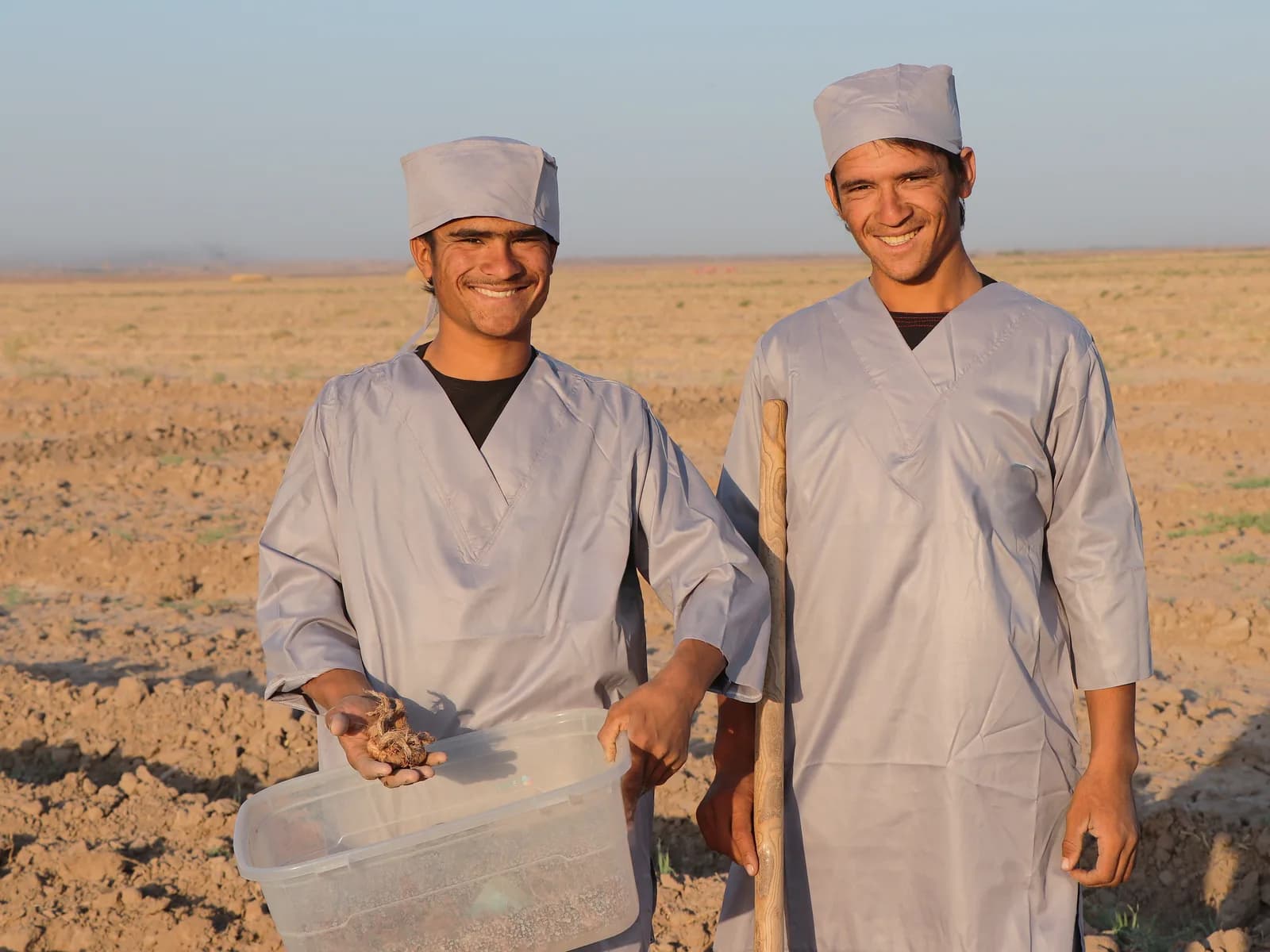 Two saffron growers standing in their field at harvest, holding corms and a planting tool